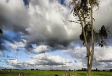 开云官网-V5险胜WBG，Bin操刀奇招英雄翻盘顶尖较量成都决赛之夜，成为赛场最大亮点