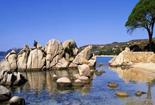 开云APP-中超焦点战：掘金vs拜仁！跨界碰撞引爆社交媒体核爆